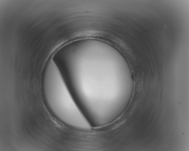 X0000081501073200701121132