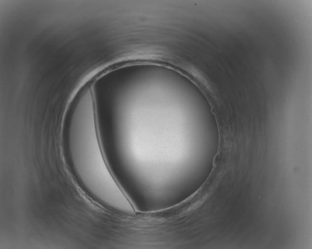 X0000081501077200701121132