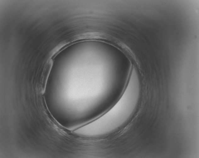 X0000081501081200701121132