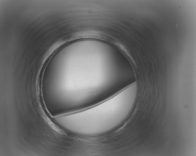 X0000081501082200701121132
