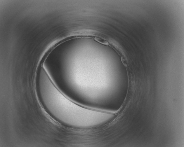 X0000081501085200701121132