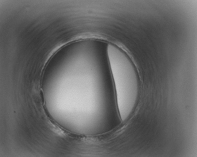 X0000081501089200701121132