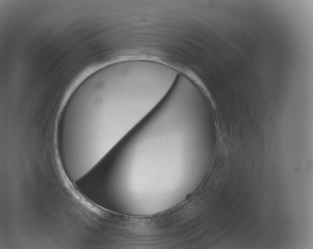 X0000081501096200701121132