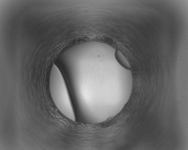 X0000081501105200701121131