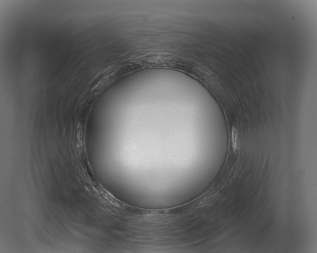 X0000081501107200701121131