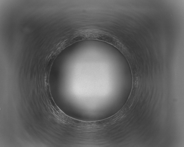 X0000081501108200701121131