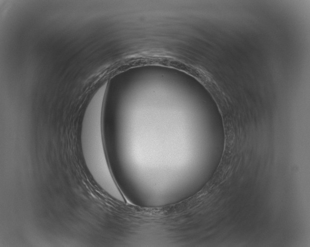 X0000081501110200701121131