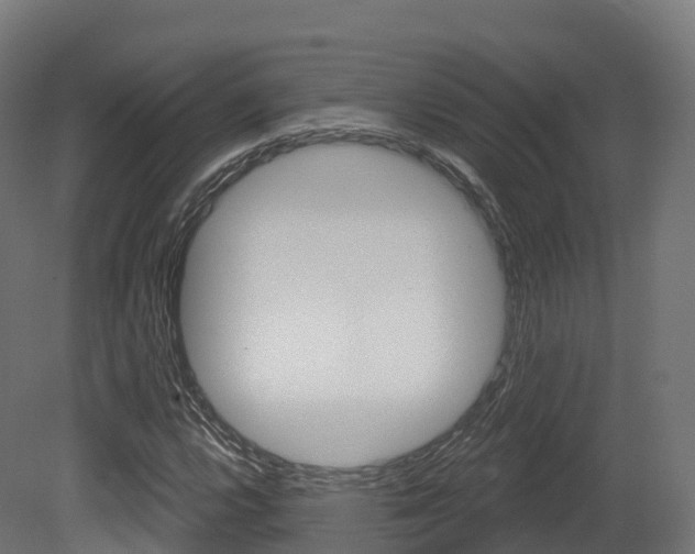 X0000081501112200701121131