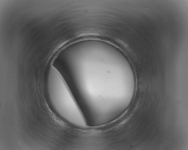 X0000081501113200701121131