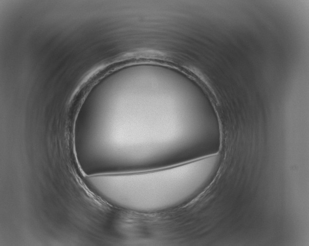 X0000081501115200701121131