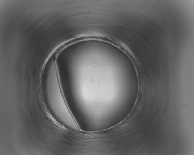 X0000081501116200701121131