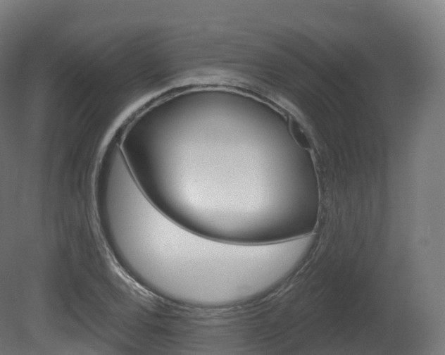 X0000081501120200701121131