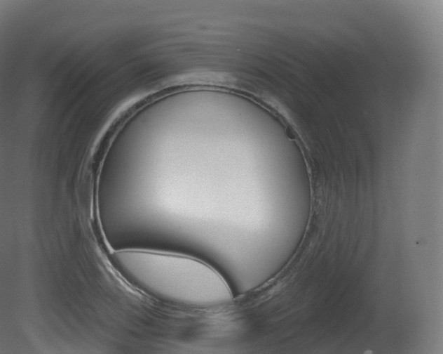 X0000081501123200701121131