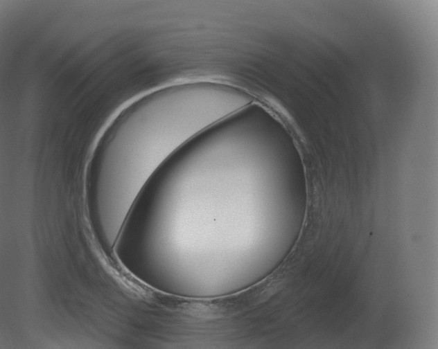 X0000081501124200701121131