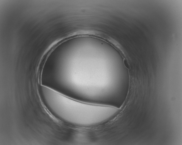 X0000081501127200701121131