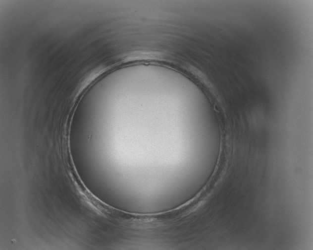 X0000081501129200701121131