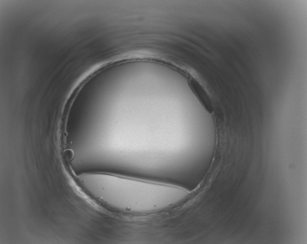 X0000081501134200701121132