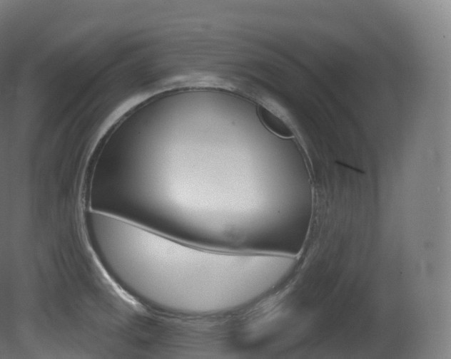 X0000081501141200701121132