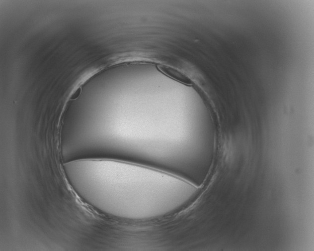 X0000081501145200701121132