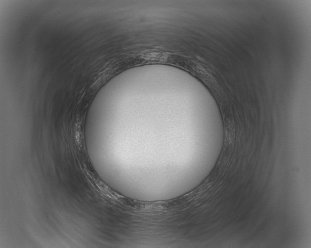 X0000081501154200701121131