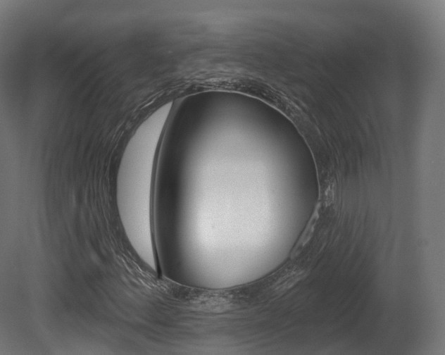 X0000081501156200701121131