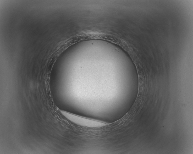 X0000081501157200701121131