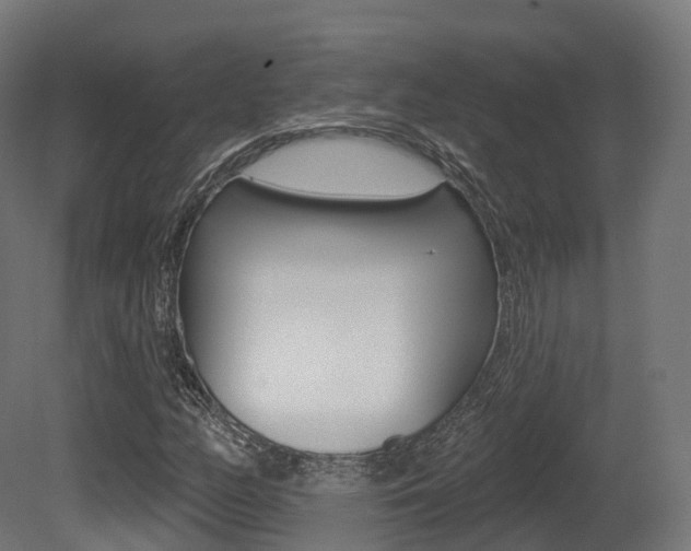 X0000081501158200701121131