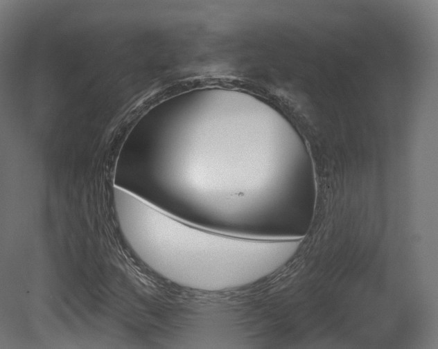 X0000081501159200701121131