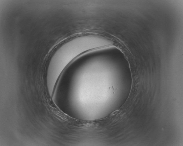 X0000081501160200701121131