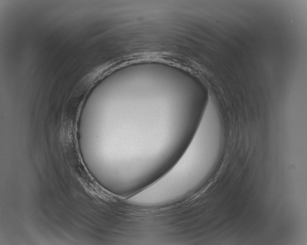 X0000081501161200701121131