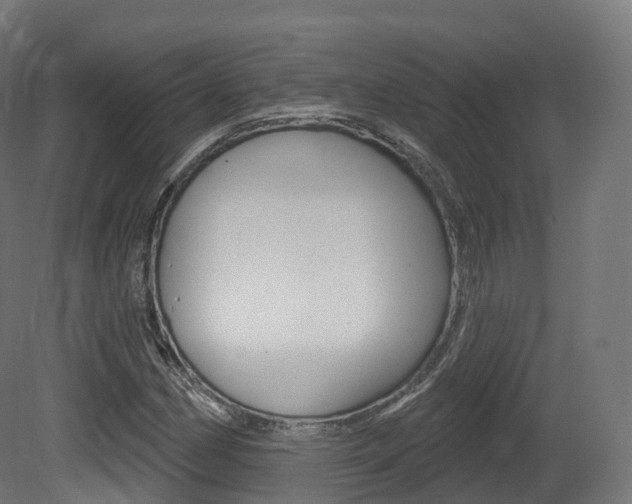 X0000081501162200701121131