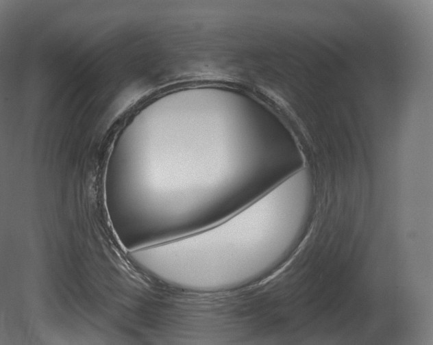 X0000081501163200701121131