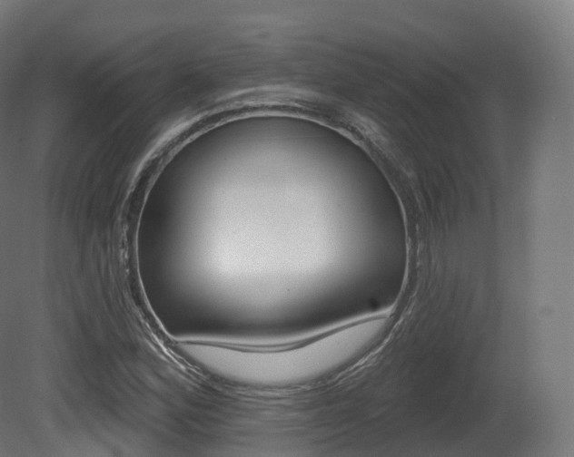 X0000081501164200701121131
