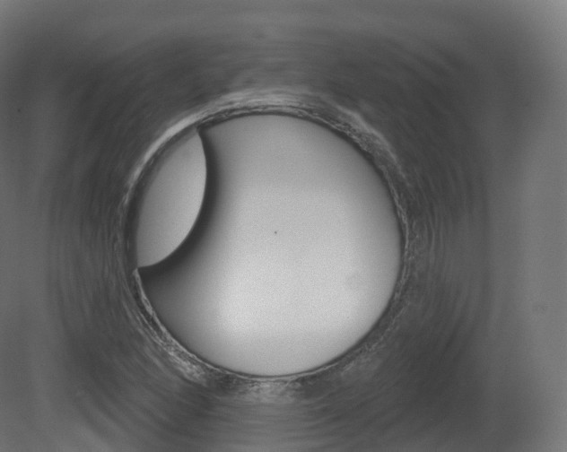 X0000081501166200701121131