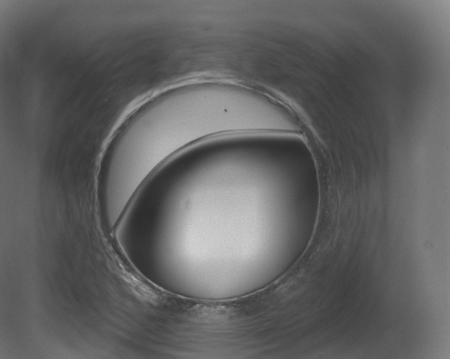 X0000081501168200701121131