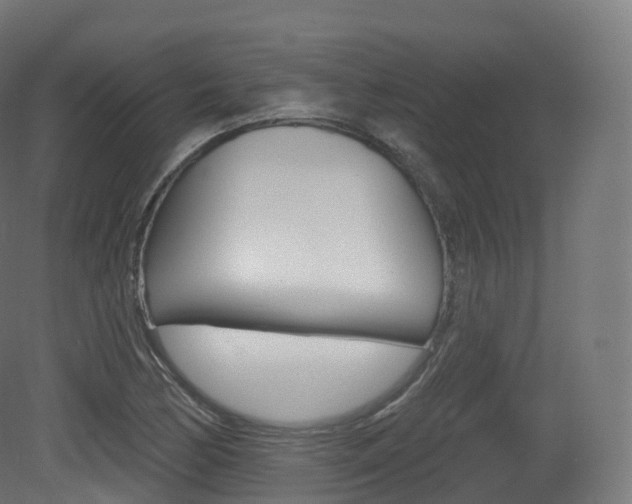 X0000081501170200701121131