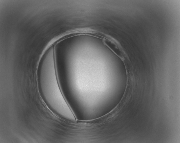 X0000081501176200701121131