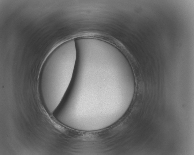 X0000081501178200701121131