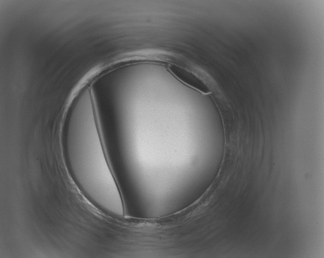 X0000081501180200701121131