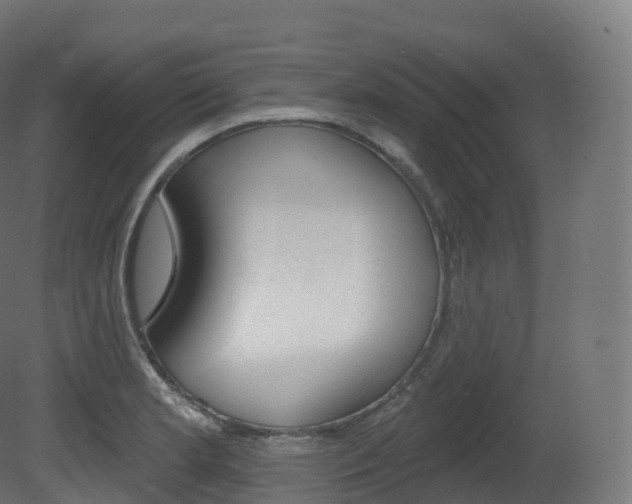 X0000081501181200701121131