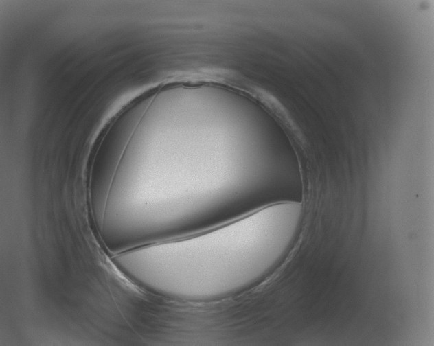 X0000081501184200701121130