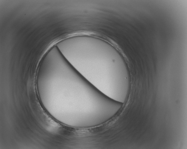 X0000081501186200701121130