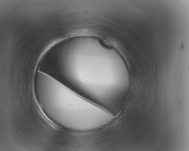 X0000081501187200701121130