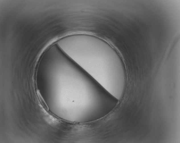 X0000081501189200701121130