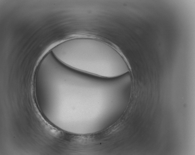 X0000081501195200701121130