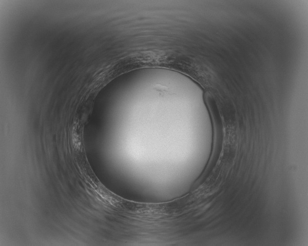 X0000081501202200701121129
