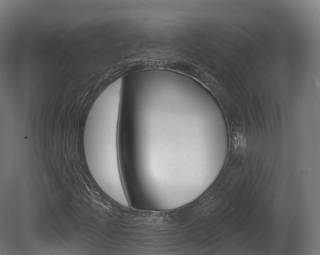 X0000081501204200701121129