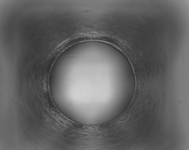 X0000081501205200701121129