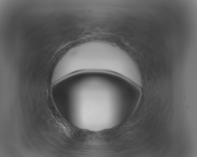X0000081501206200701121129