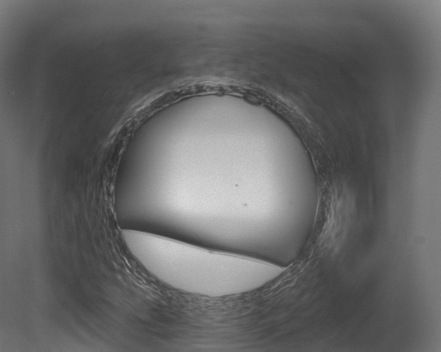 X0000081501207200701121129